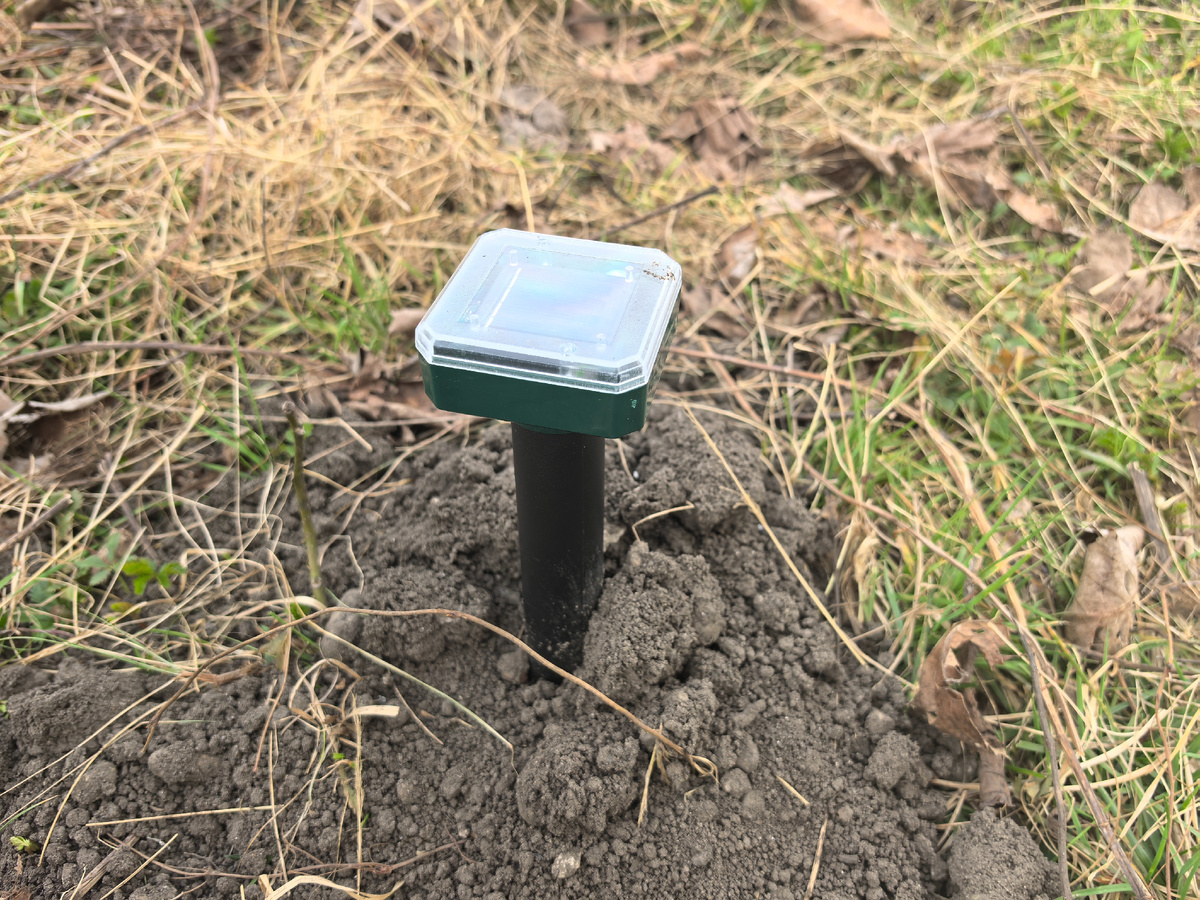 Парочки таких штучек достаточно для нашего участка. 