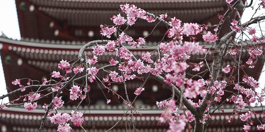    Фото: Getty Images/NurPhoto