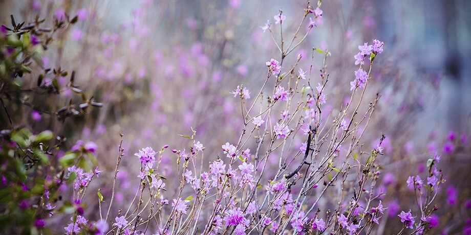    Фото: Москва 24/Лидия Широнина