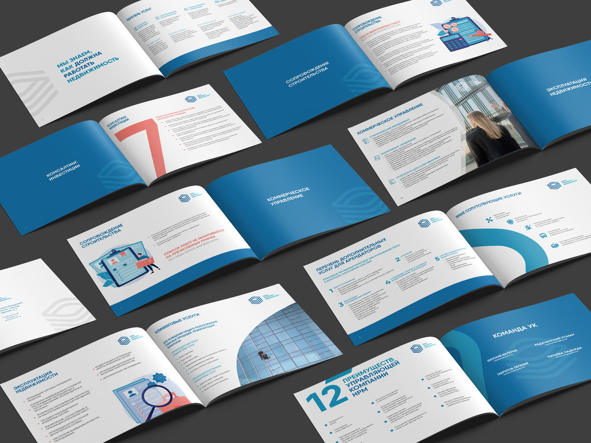 Работа из портфолио Librico
