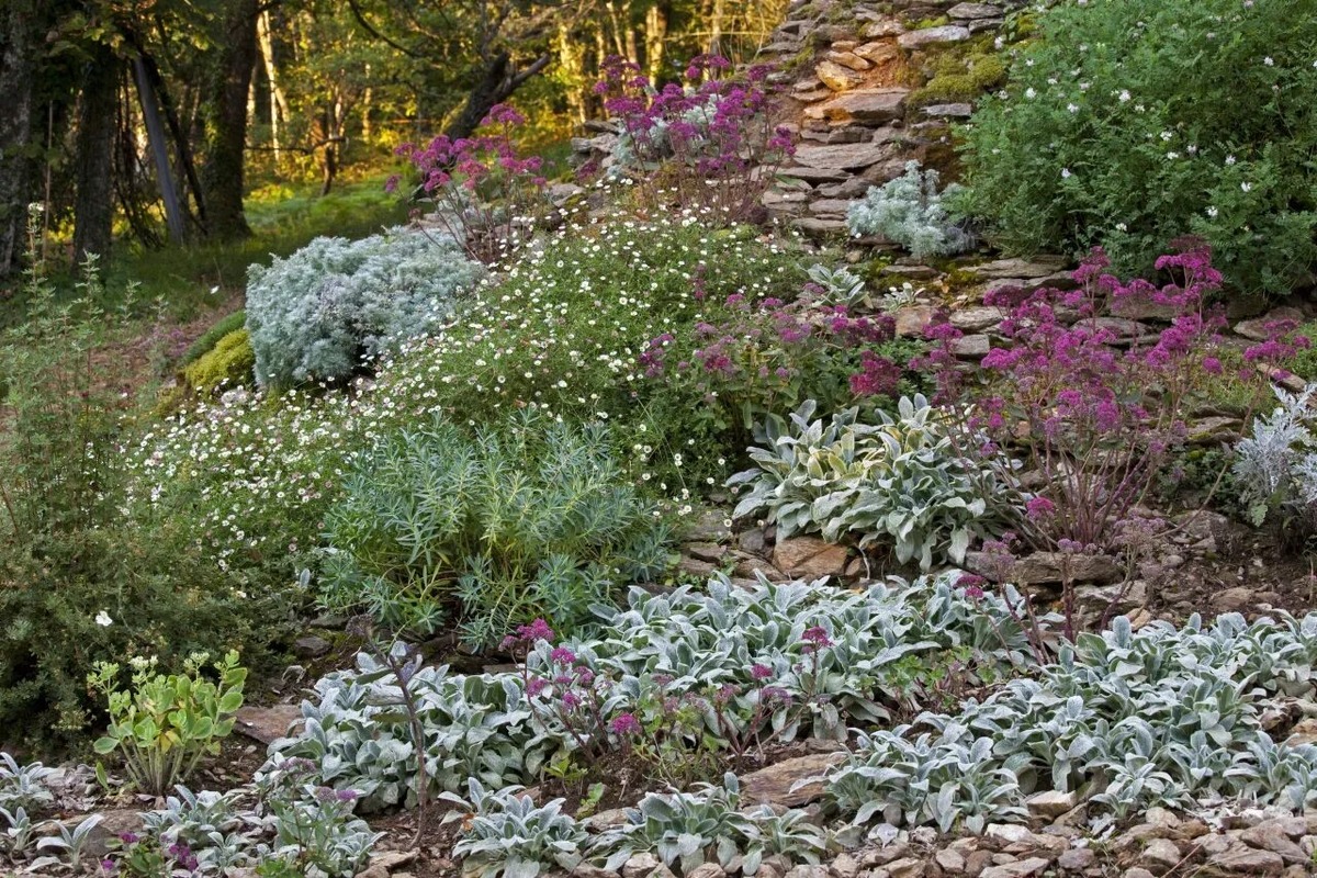 Альпинарий