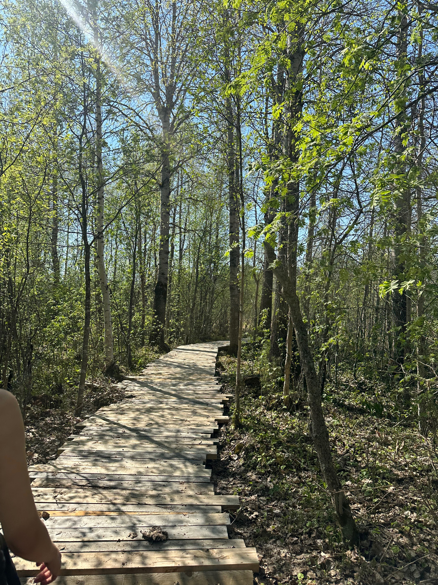 Личное фото