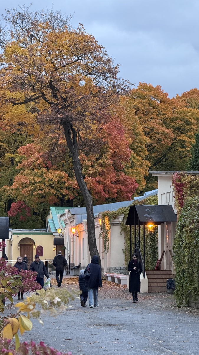 Личное фото