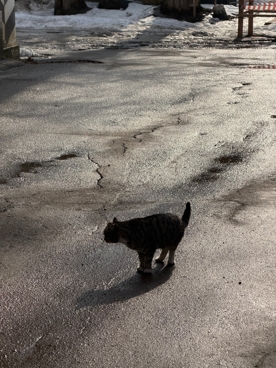 Личное фото