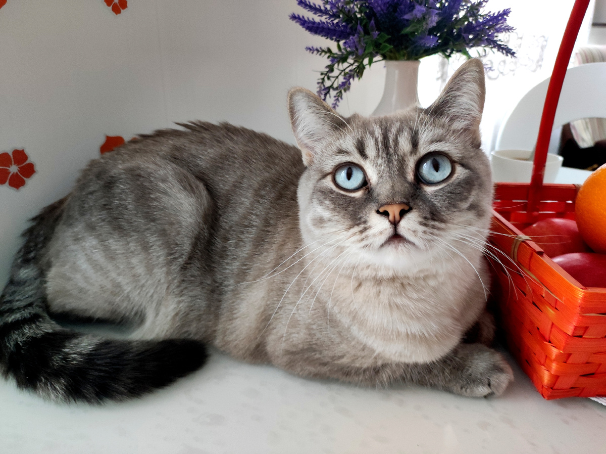 Фото автора 