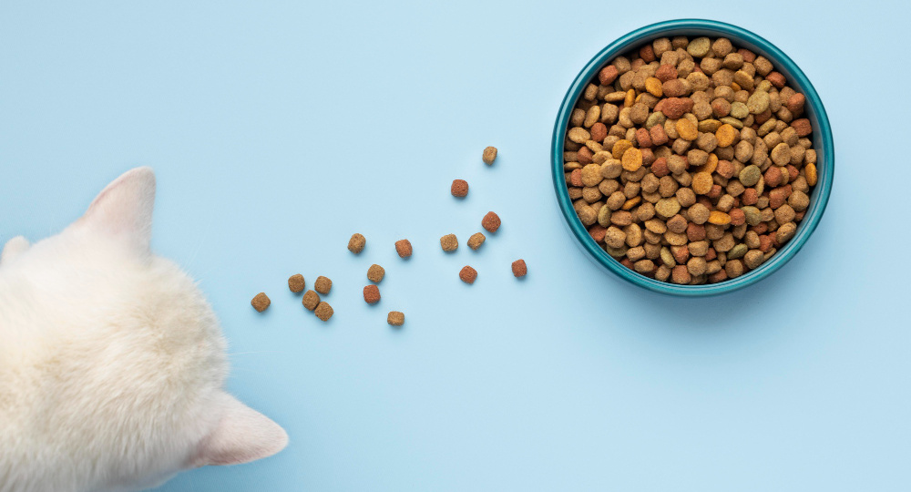 Подсчитал расходы на кошку - цифра за год меня неприятно удивила. Делюсь подсчётами