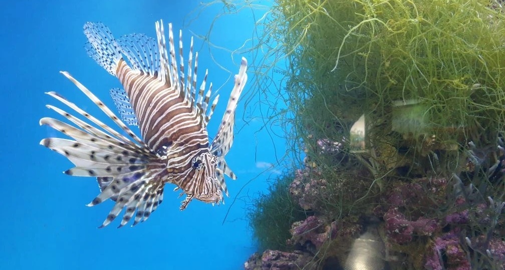 Почему возраст не чувствуется? Откуда эти странные цифры в паспорте?