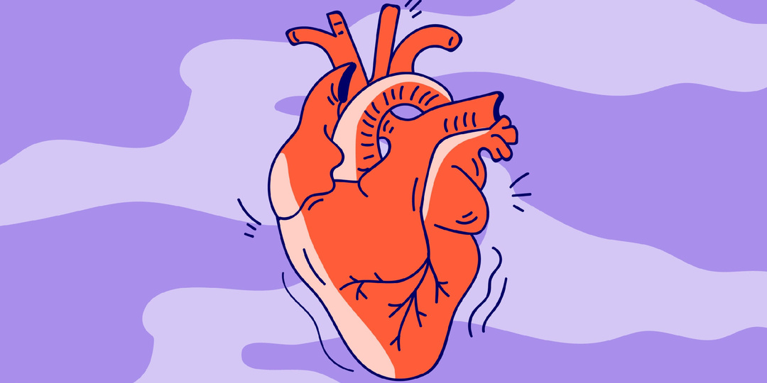 Сердце после алкоголя: мифы и правда. Как спиртное влияет на сосуды?