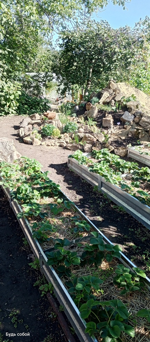 Лето 2025 года