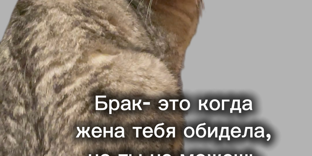 А ведь так и есть😅