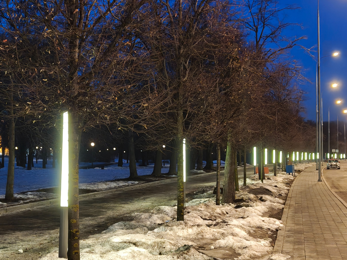 Ночной парк. За ним пруд и монастырь. 