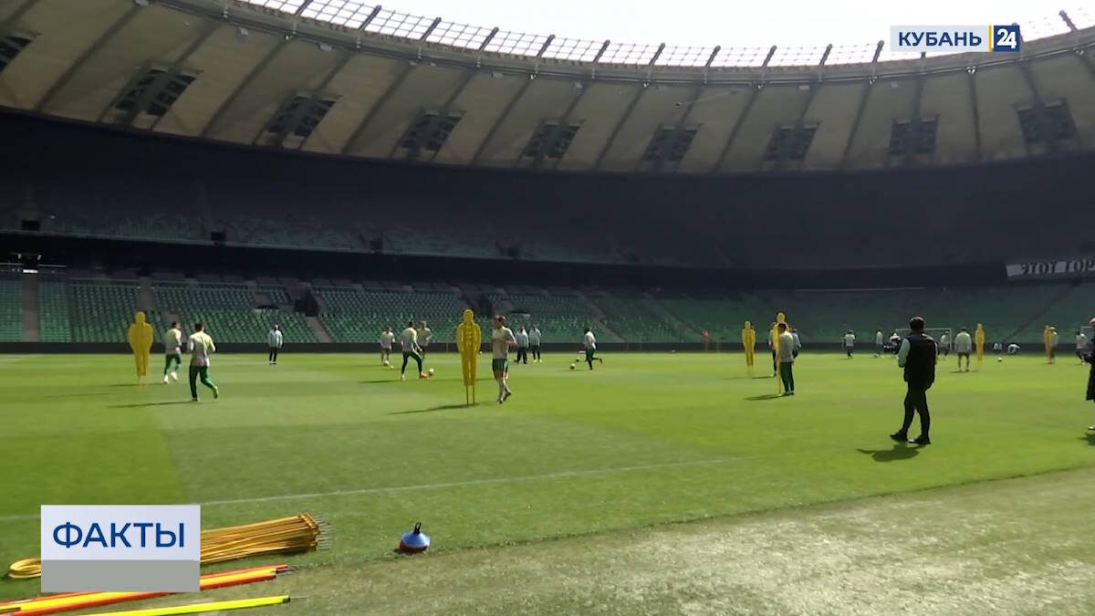    Скриншот видео телеканала «Кубань 24»