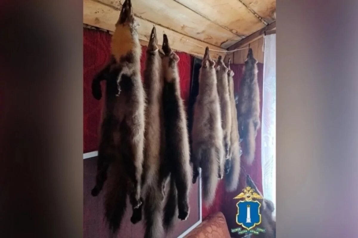    У браконьера из Павловского района нашли тушки куниц, белок и наркотики