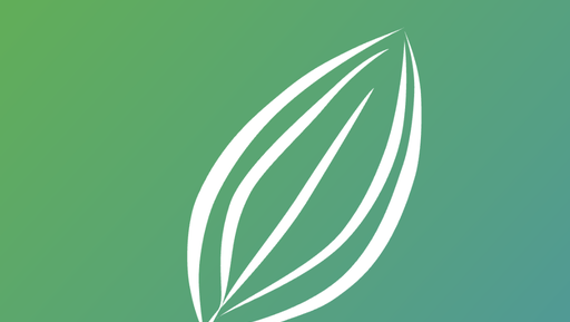 Приложение «Подорожник» попало в «белый список»