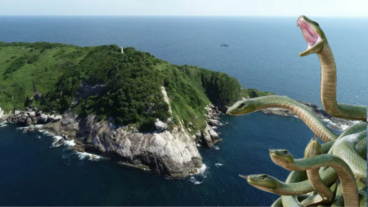 Фото: Змеиный остров в Бразилии