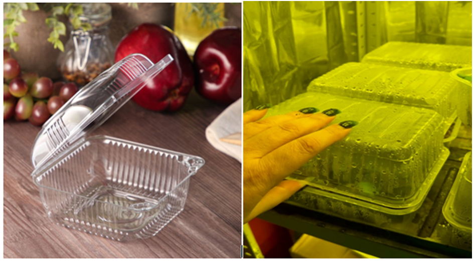 Контейнер для печенья. Таблетки в контейнерах у Л. Аристарховой