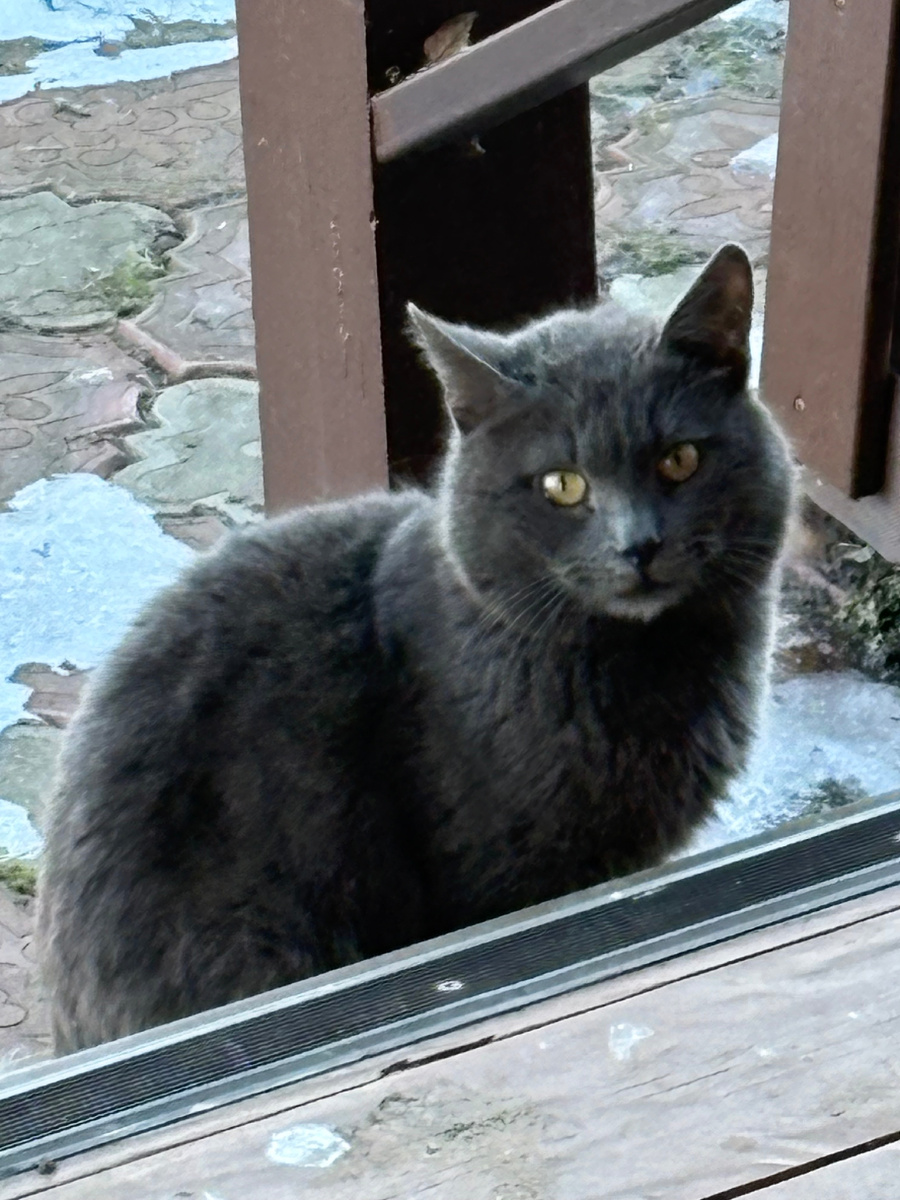 Кузя Лакомкин с красивыми щеками.