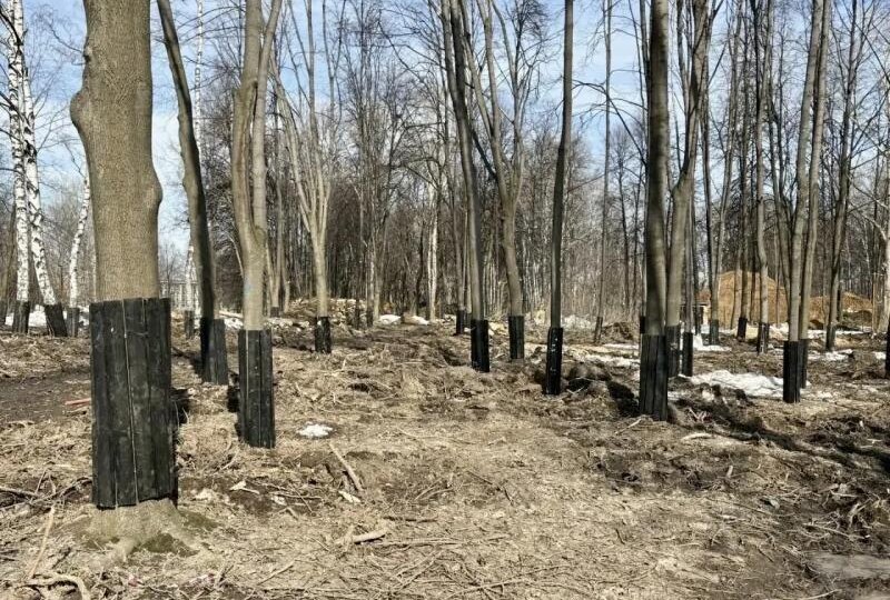 Рязанцам рассказали о работах по благоустройству в ЦПКиО