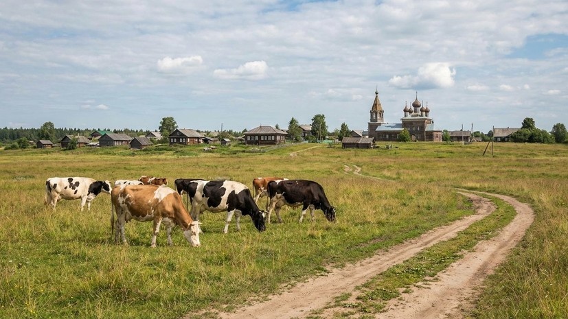   Сгенерировано с помощью ИИ