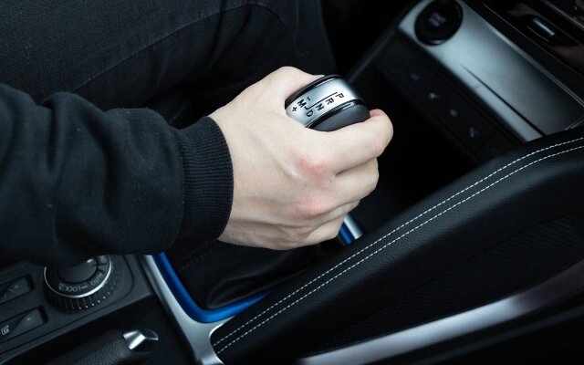 Фото: Mariaprovector / Shutterstock / FOTODOM