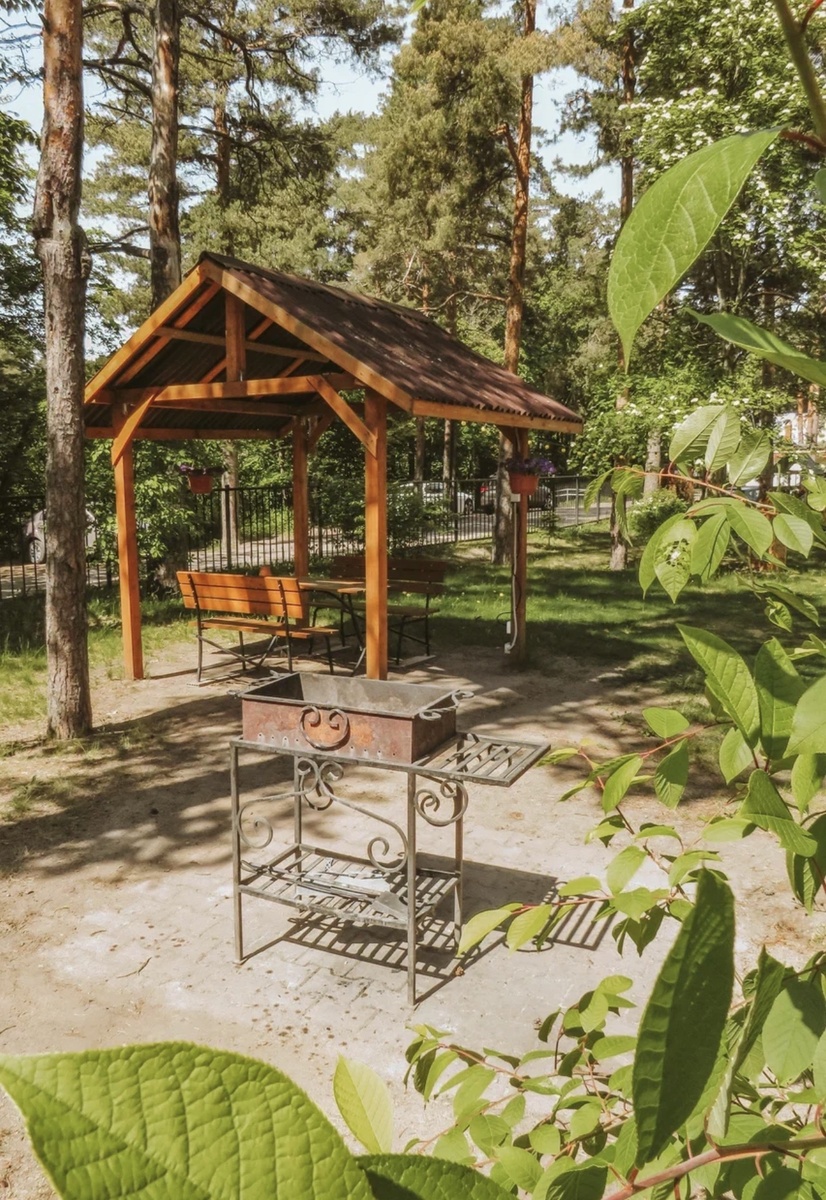 Много зелени 