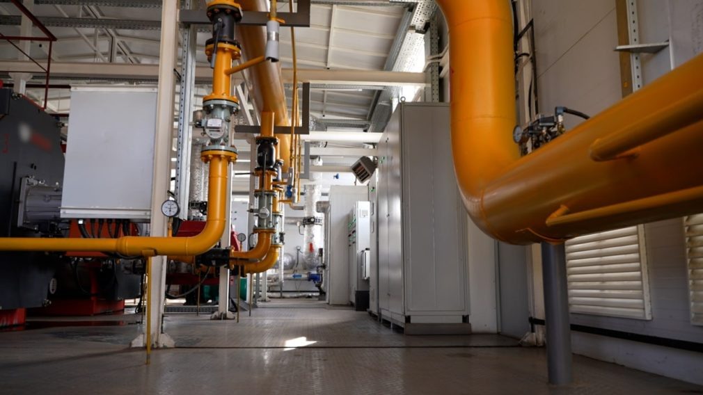    Фото: СвоёТВ Кира Лютова