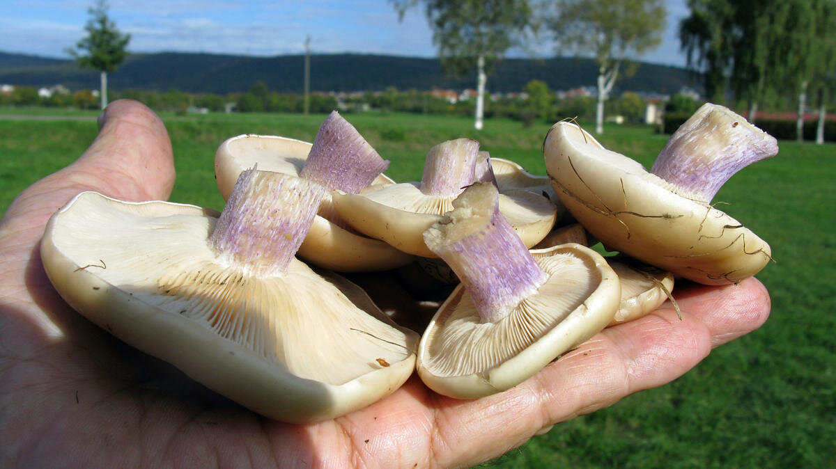 Фотография из интернета