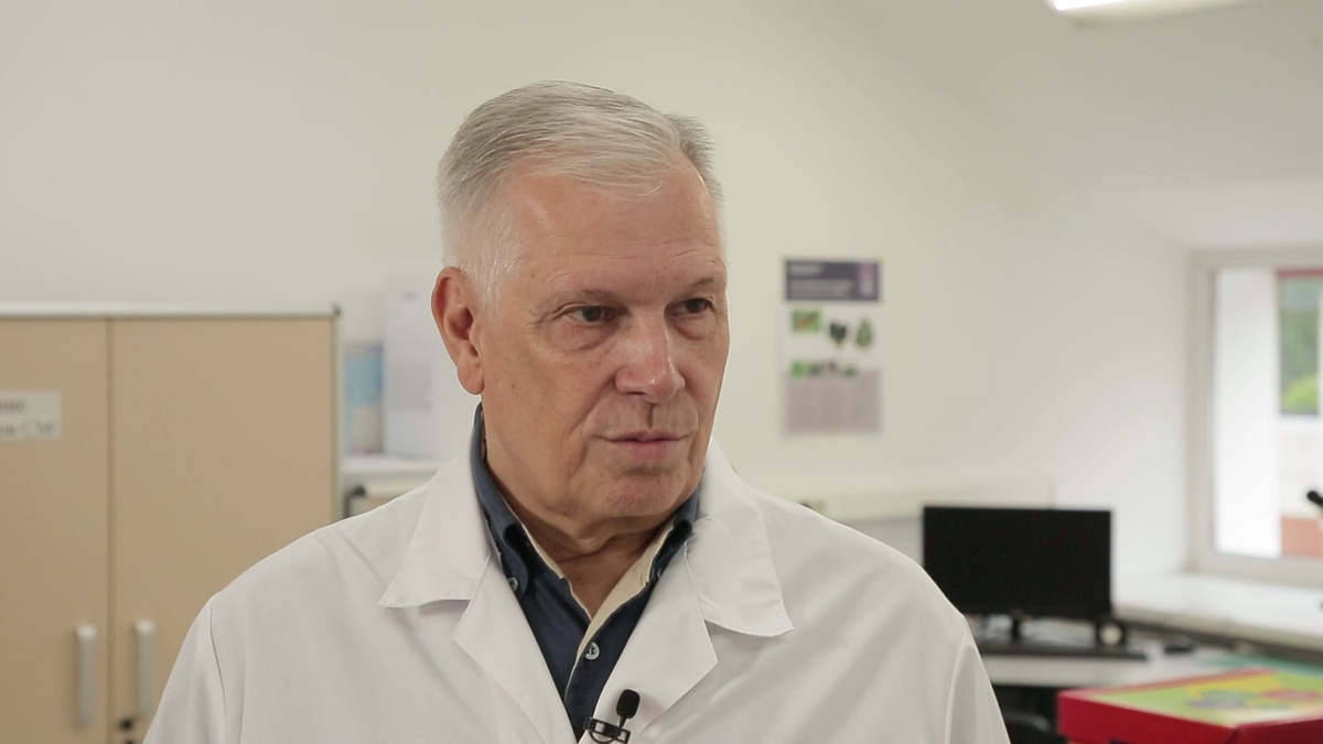    Сергей Данкверт