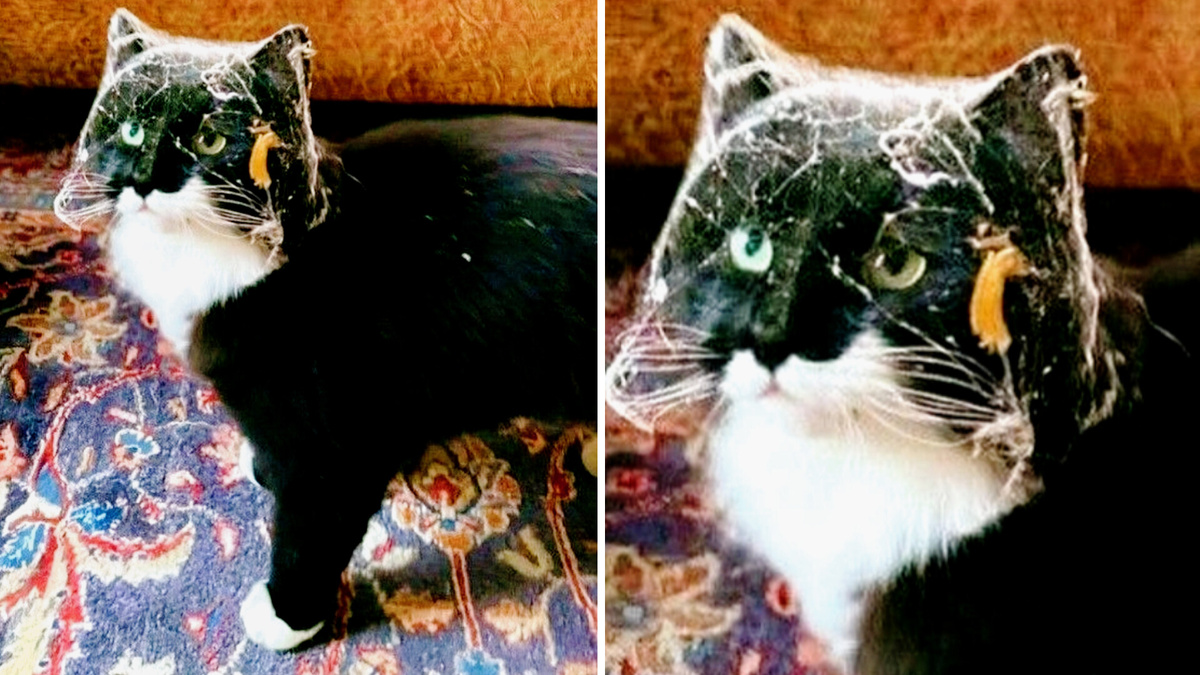 Наташа, ну ты чиво, на чердаке совсем не подметаешь? 