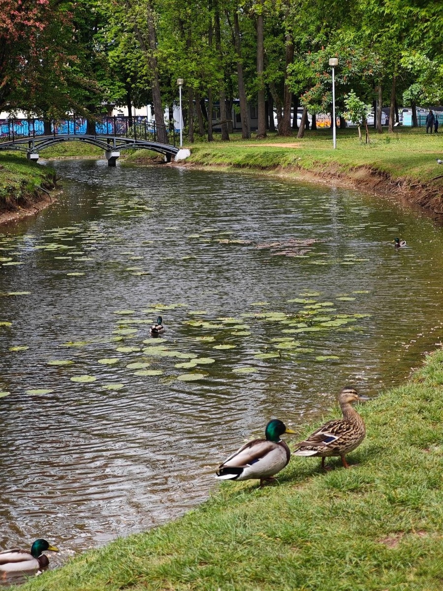 «Брестский парк культуры и отдыха»