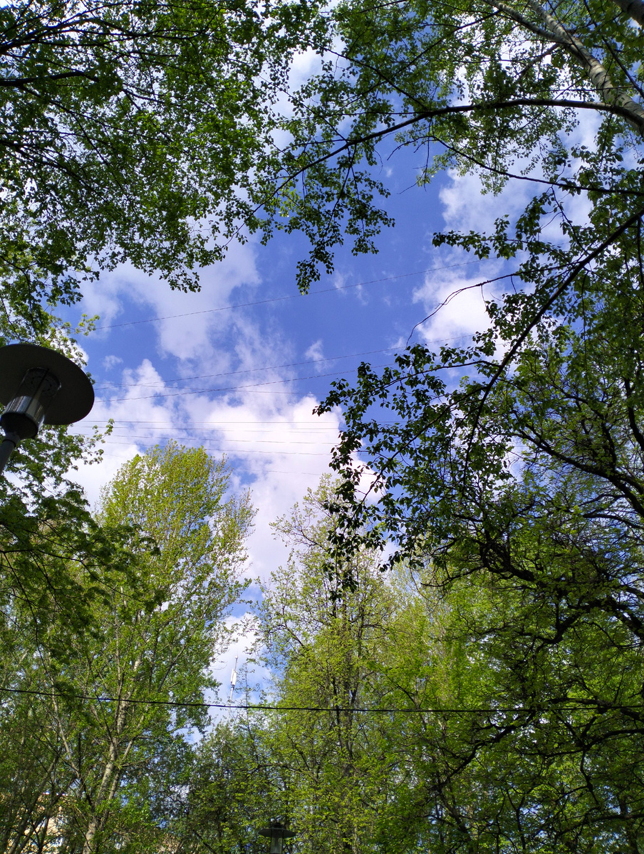 Просто картинка успокоительной природы 