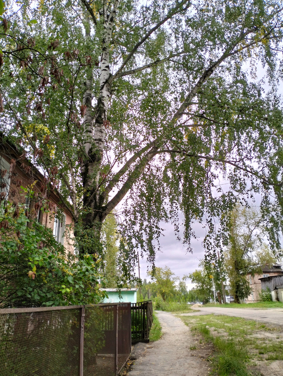 Вот здесь тоже хорошо прогуляться