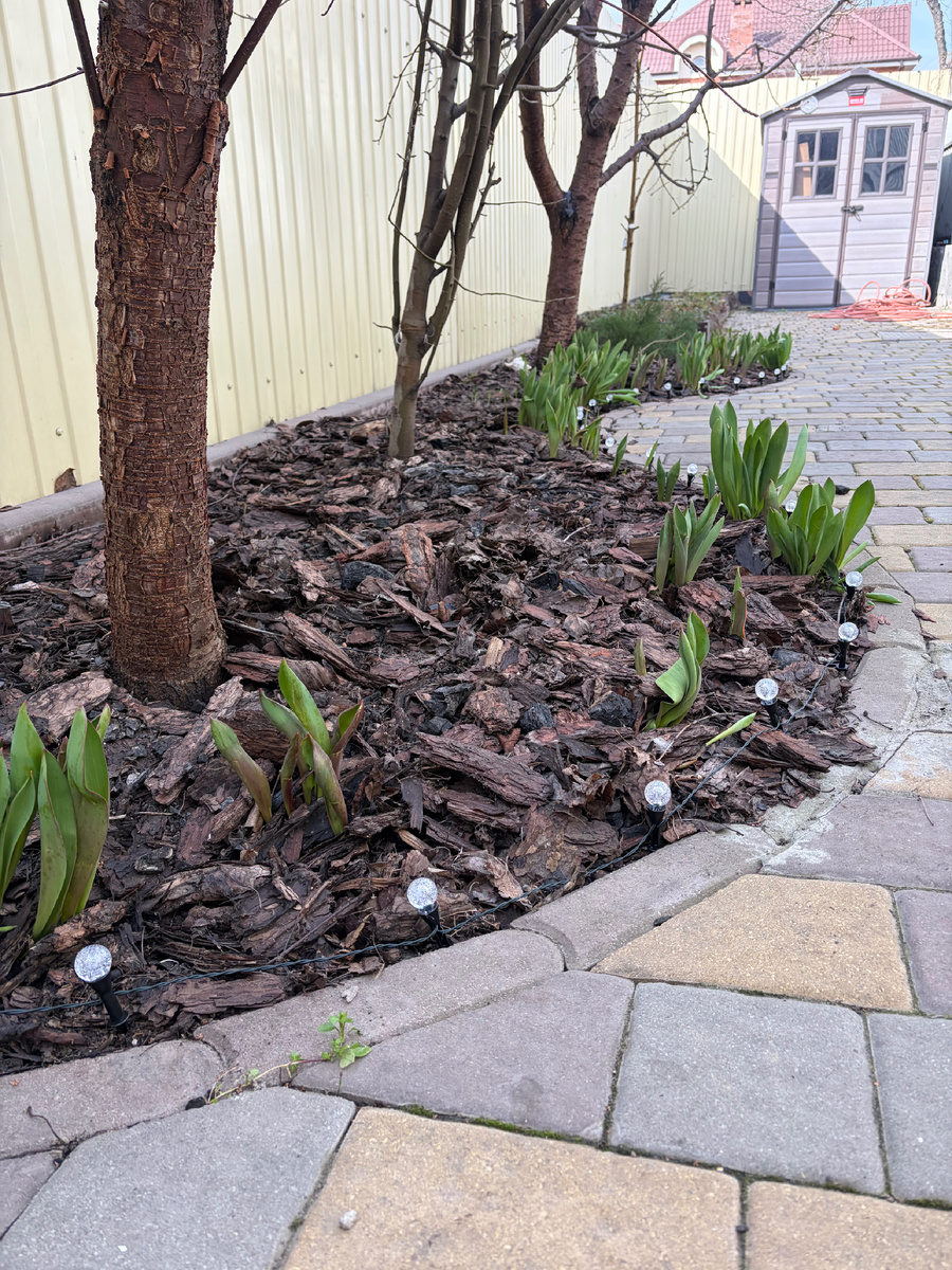 Фото автора Так смотрится днем 