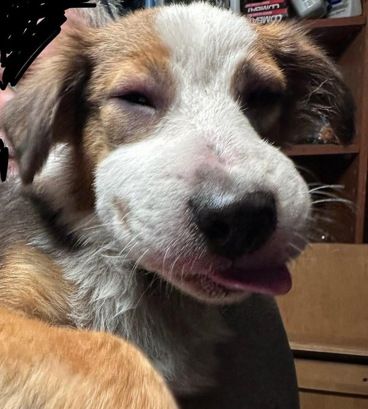 © Dependent-Aside-9750