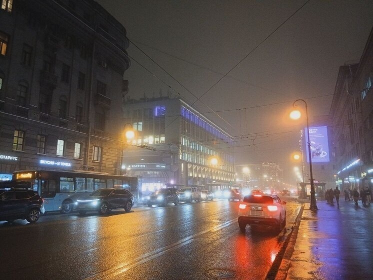     Пешеходам тоже стоит быть осторожнее при переходе дорог. Фото из архива "МК в Питере"