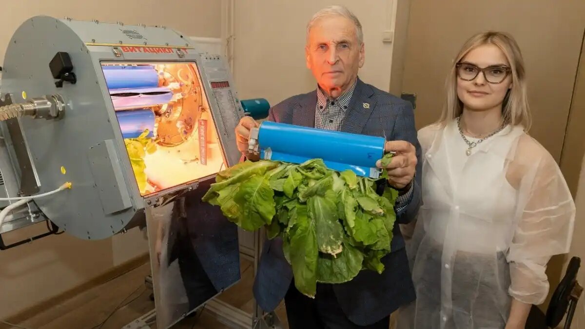 Фото: ГНЦ РФ – ИМБП РАН
На Байконур отправят оранжерею, в которой космонавты будут выращивать салат