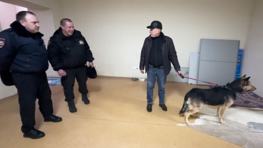 В Коврове полицейские спасли бездомного пса и устроили его в приют