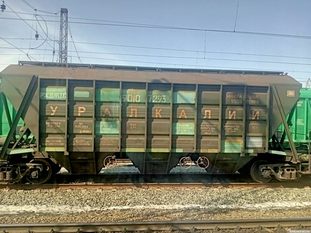     Удобрения   
Ольга Перегуд (с) ИА Красная Весна