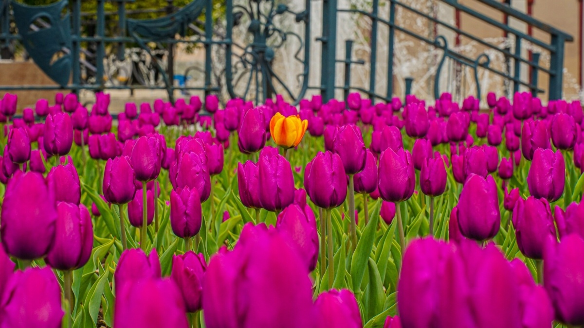 фото редакции📷
