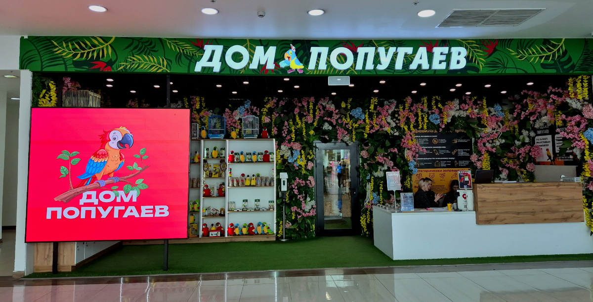 Фото автора статьи