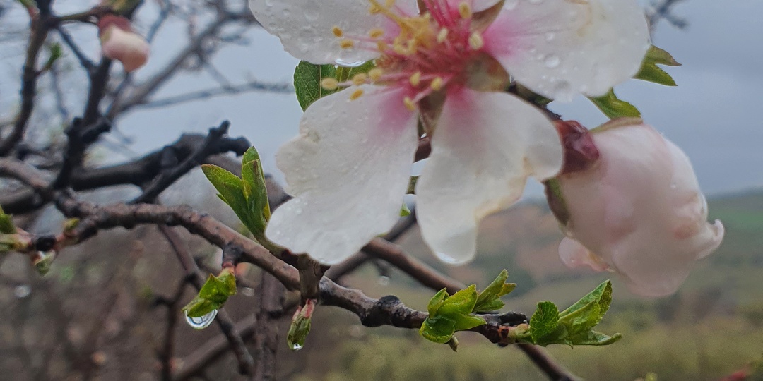 Размышлизмы о времени и весне
