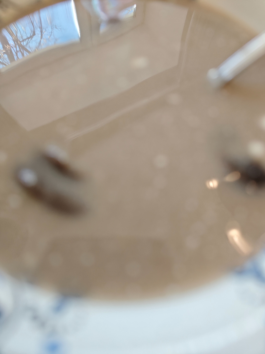 Фото автора канала 