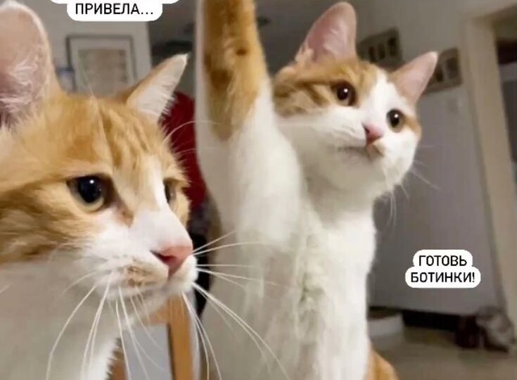 Улыбнитесь 😸 астрономической весне!🌷