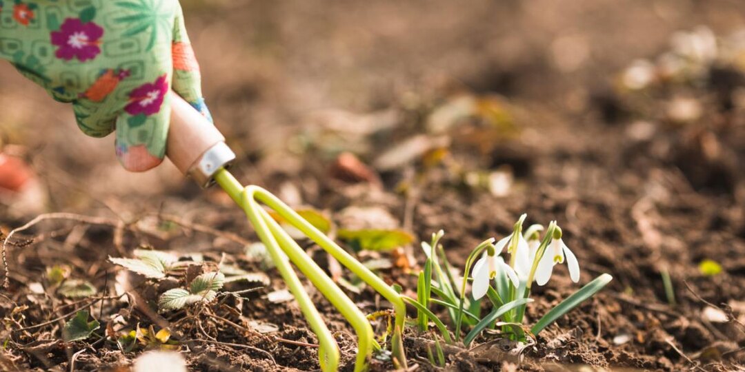 Мартовская ловушка для дачника: эти ошибки в начале сезона обходятся дороже самого урожая
