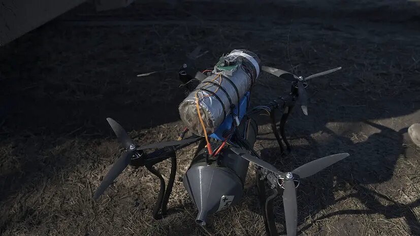    Источник: russian.rt.com София Васильева