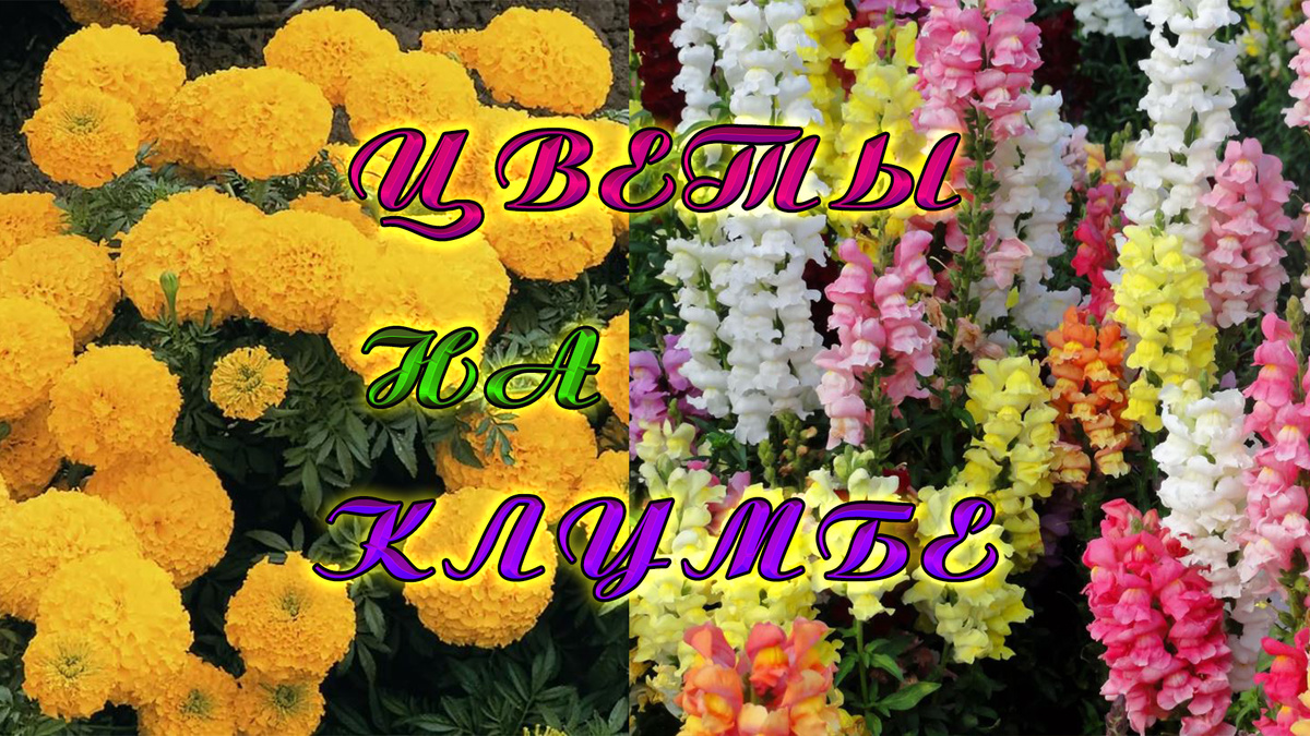 Как украсить свою клумбу?