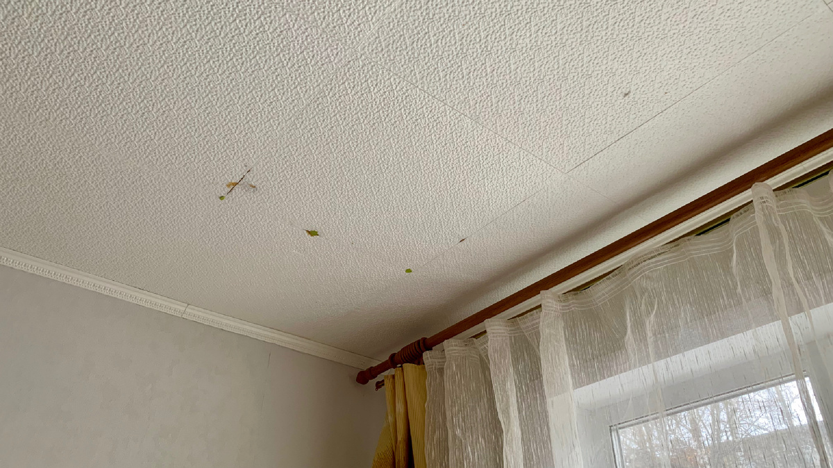 Вот такой у нас потолок в квартире