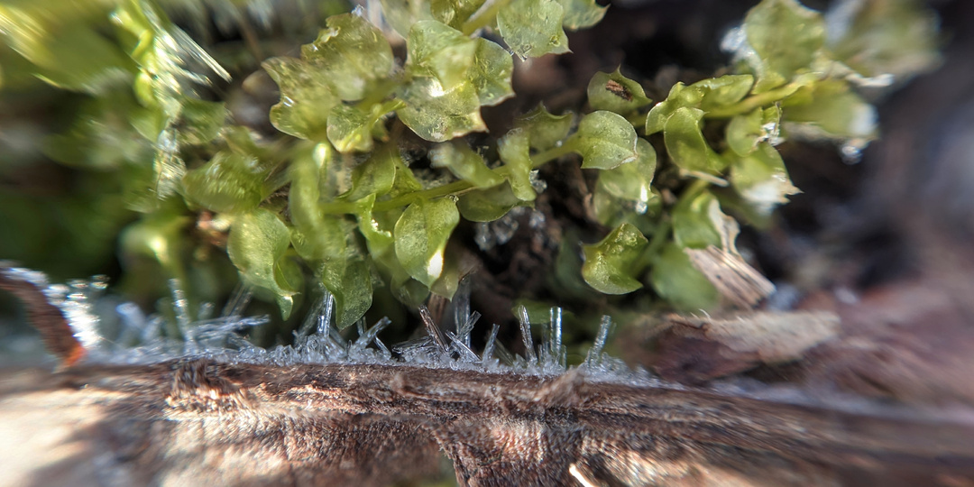 Луковый и Ореховый склоны после дождя в марте