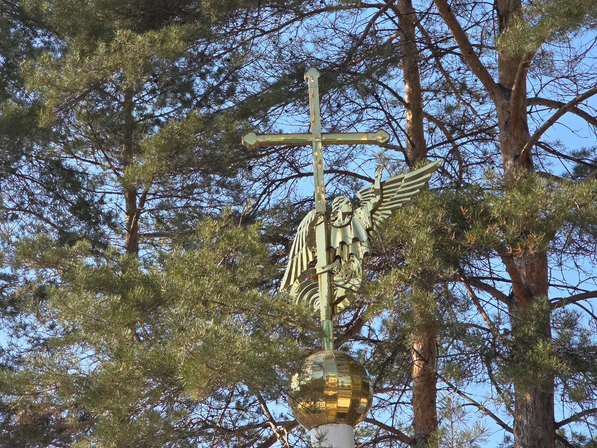 Ангел в соснах