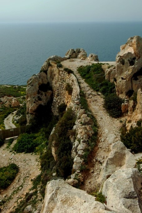 Фото из обшего доступа в интернете